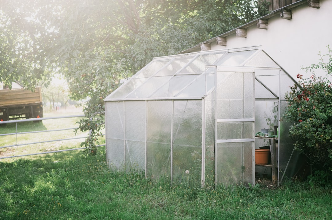 Photo greenhouse with low water consumption