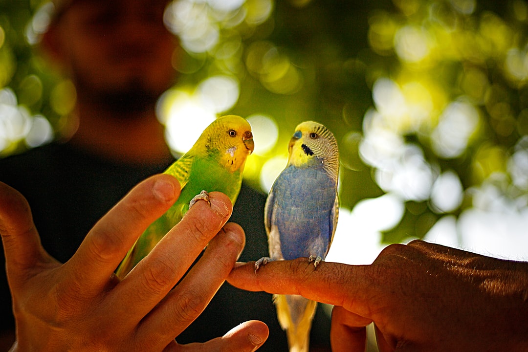 Photo ecological animal and bird farming