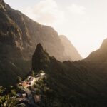 Cum să folosești acoperișurile verzi pentru producție de alimente