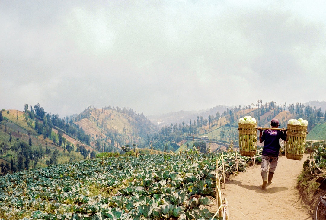 Photo sustainable farming practices