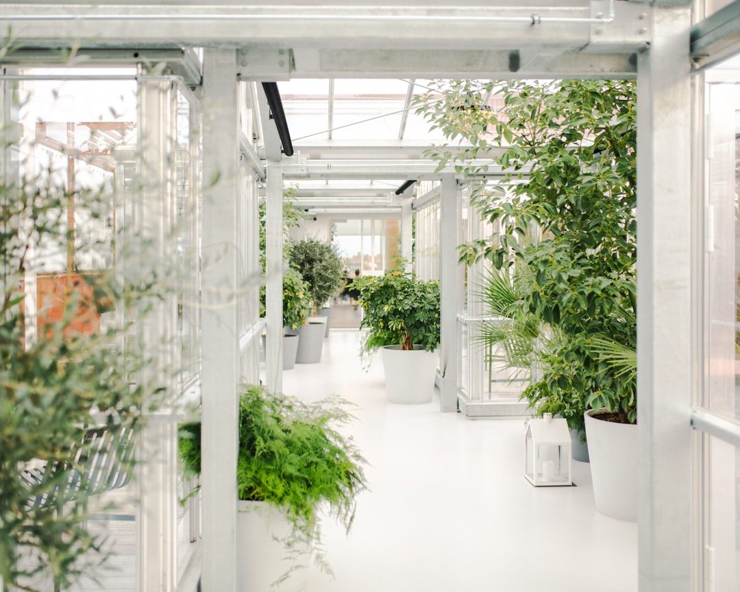 Photo smart greenhouses
