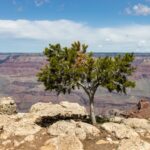 Cum să-ți dezvolți reziliența: strategii pentru a depăși obstacolele