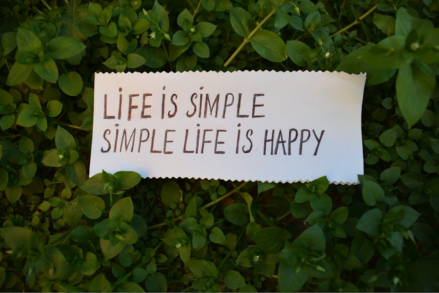 Photo simplul