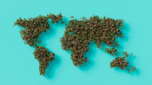 Impactul globalizării asupra comunităților locale și tradițiilor