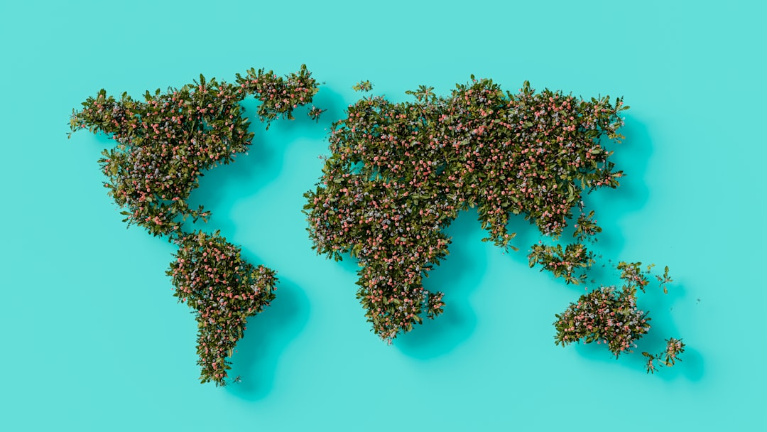 Photo globalization