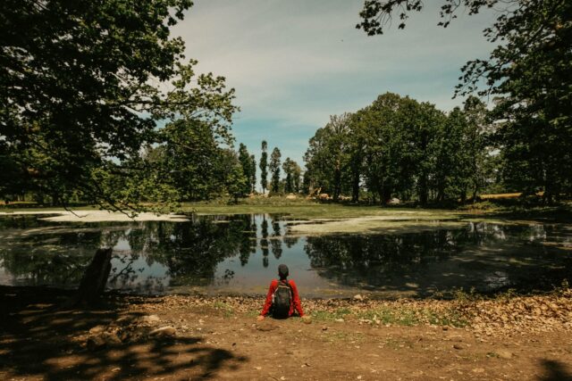 Mănăstire veche cu ziduri albe înconjurată de pădure verde