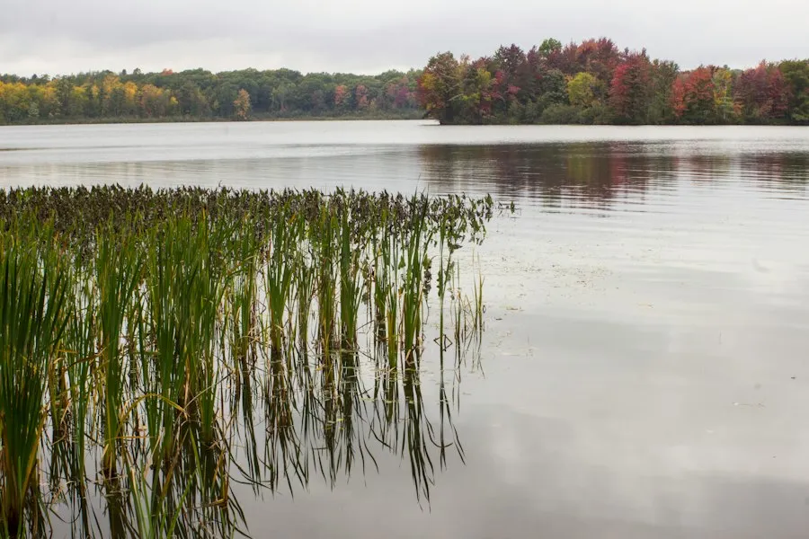 Photo common mistakes lakes nature management