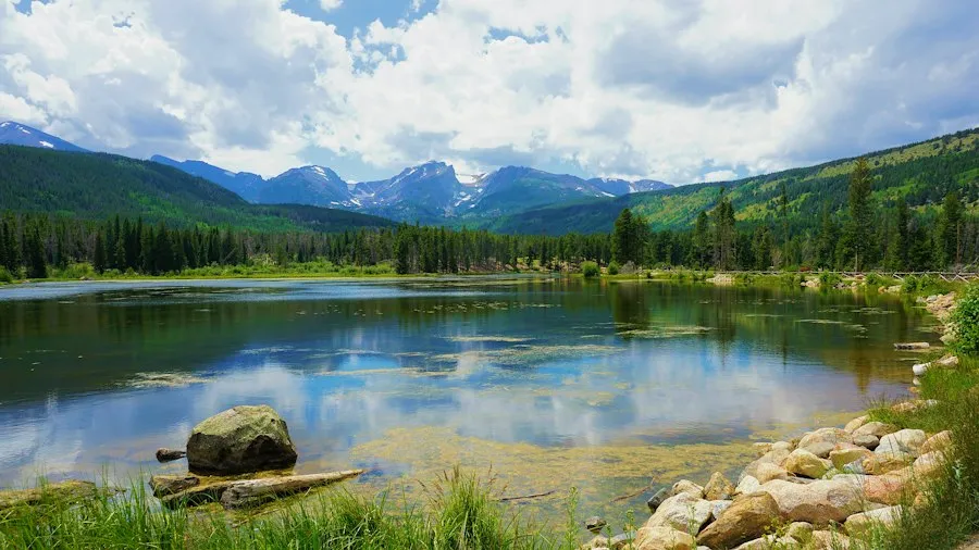 common mistakes lakes nature management
