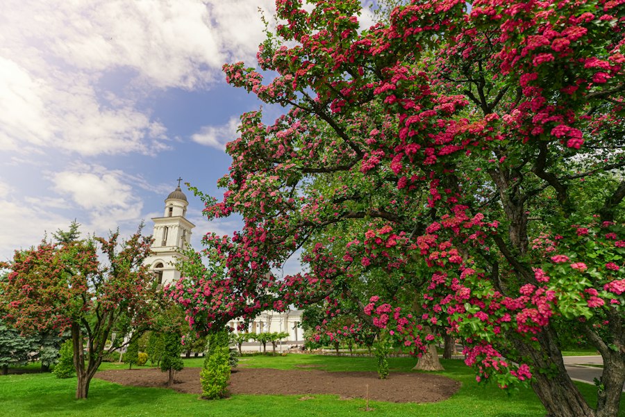 Photo Moldova monasteries history architecture